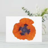 Scarlet Orange Poppy 1 (Standing Front)