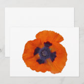 Scarlet Orange Poppy 1 (Front/Back)