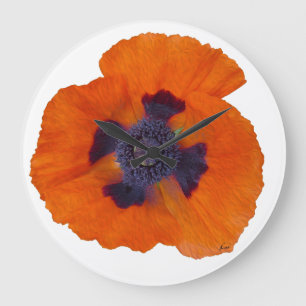 Scarlet Orange Poppy 1 Large Clock