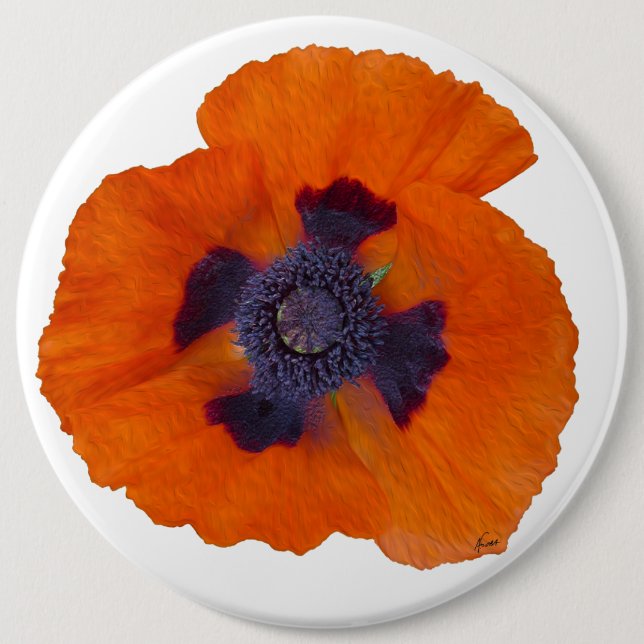 Scarlet Orange Poppy 1 Pinback Button (Front)