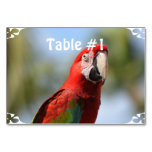 Scarlet Red Macaw Table Number