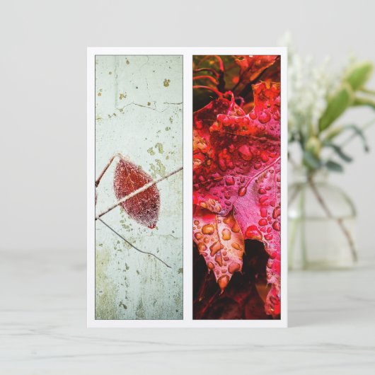 Scarlet Red Nature Art Bookmark (Standing Front)