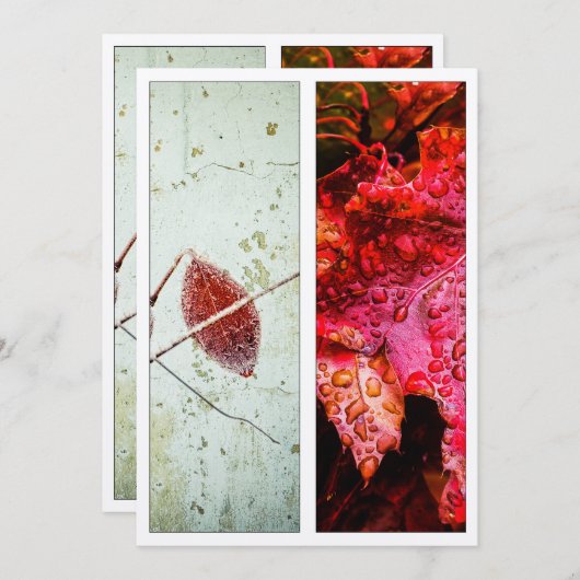 Scarlet Red Nature Art Bookmark (Front/Back)