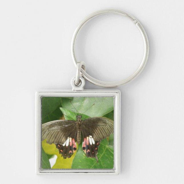 Scarlet Swallowtail Butterfly Keychain (Front)