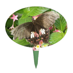 Scarlet Swallowtail Butterfly Macro Cake Pick