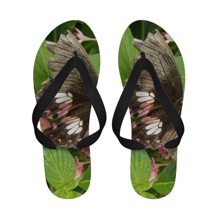 Scarlet Swallowtail Butterfly Macro Flip Flops