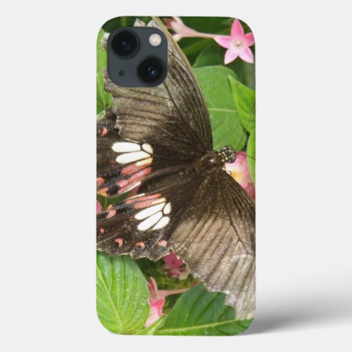 Scarlet Swallowtail Butterfly Macro iPad Case