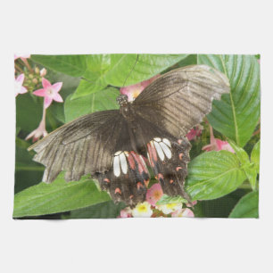 Scarlet Swallowtail Butterfly Macro Kitchen Towel
