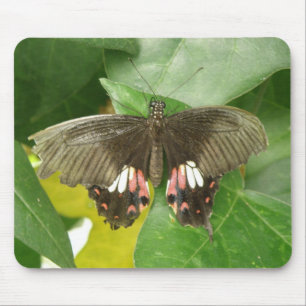 Scarlet Swallowtail Butterfly Mousepad