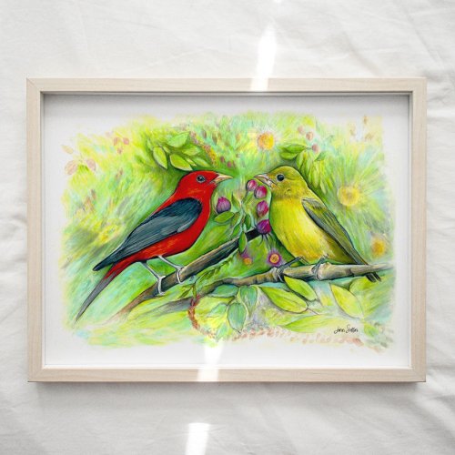 Scarlet Tanager Birds Watercolor Art Print