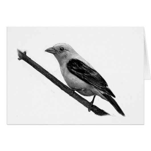 Scarlet Tanager Cards (Front Horizontal)