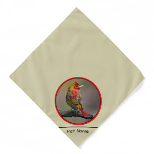 Scarlet Tanager Molting Original Photograph Bandana