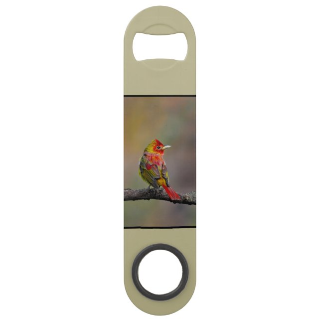 Scarlet Tanager Molting - Original Photograph Bar Key (Front)