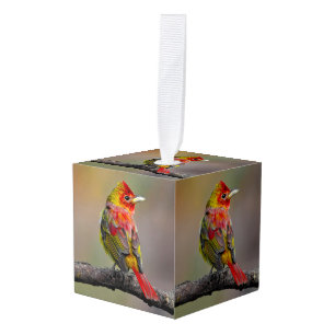 Scarlet Tanager Molting - Original Photograph Cube Ornament
