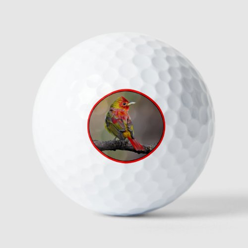 Scarlet Tanager Molting _ Original Photograph Golf Balls