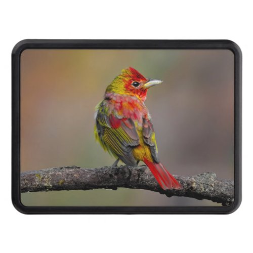 Scarlet Tanager Molting _ Original Photograph Hitch Cover
