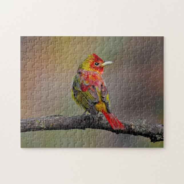 Scarlet Tanager Molting - Original Photograph Jigsaw Puzzle (Horizontal)