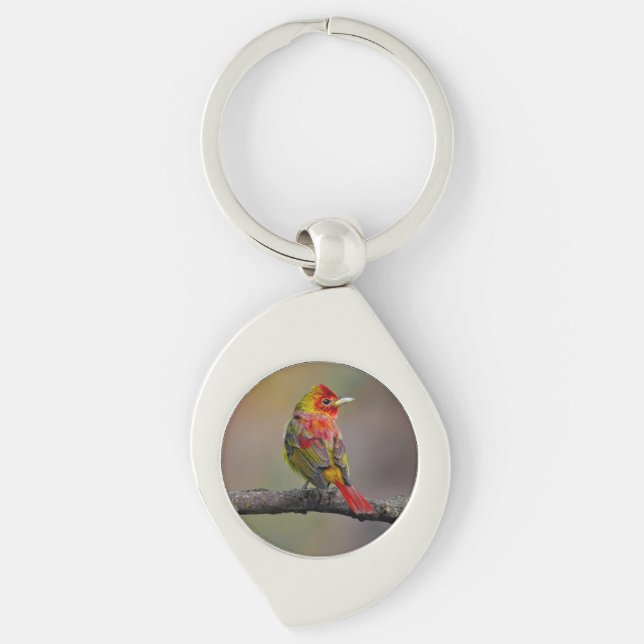 Scarlet Tanager Molting - Original Photograph Keychain (Front)