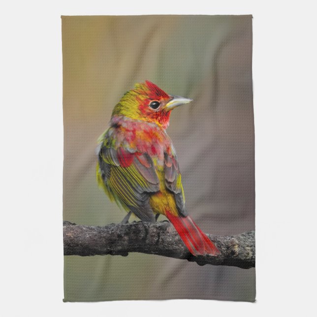 Scarlet Tanager Molting - Original Photograph Kitchen Towel (Vertical)