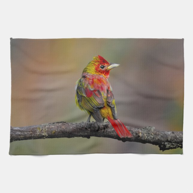 Scarlet Tanager Molting - Original Photograph Kitchen Towel (Horizontal)