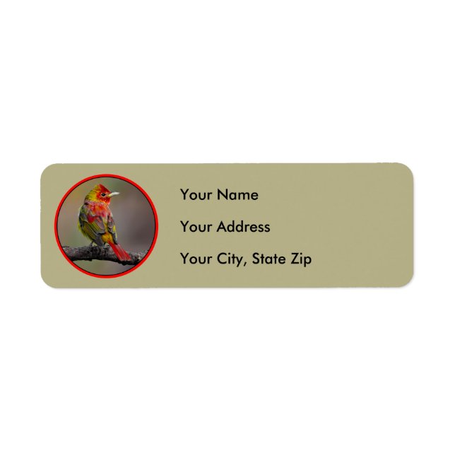 Scarlet Tanager Molting - Original Photograph Label (Front)