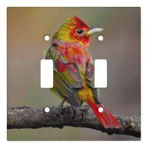 Scarlet Tanager Molting - Original Photograph Light Switch Cover