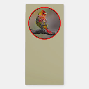Scarlet Tanager Molting - Original Photograph Magnetic Notepad