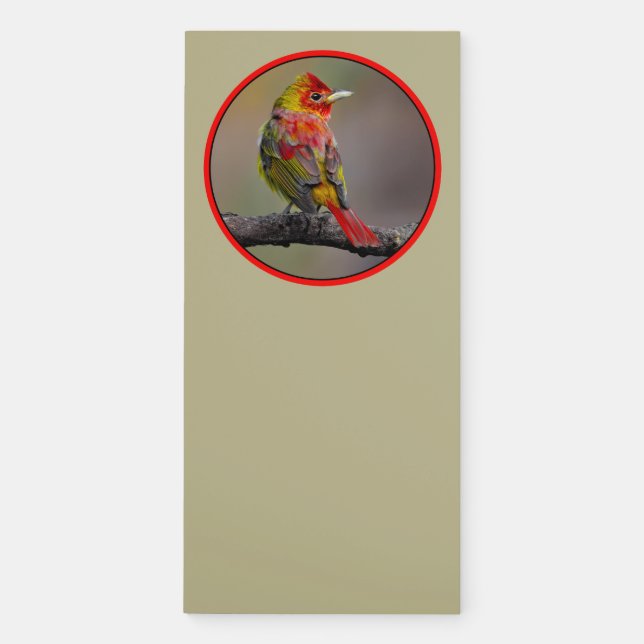 Scarlet Tanager Molting - Original Photograph Magnetic Notepad (Front)