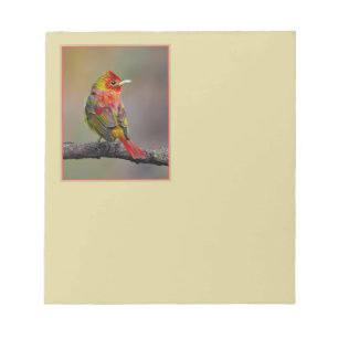 Scarlet Tanager Molting - Original Photograph Notepad