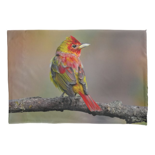 Scarlet Tanager Molting - Original Photograph Pillow Case (Front)