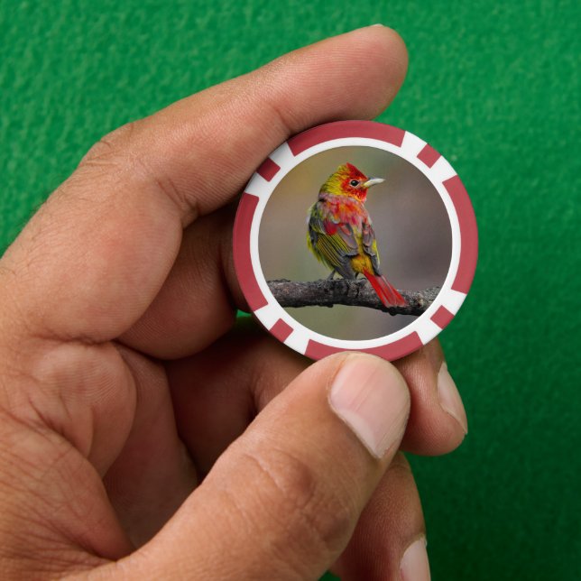 Scarlet Tanager Molting - Original Photograph Poker Chips (Hand)