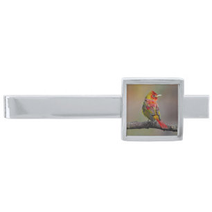 Scarlet Tanager Molting - Original Photograph Silver Finish Tie Bar