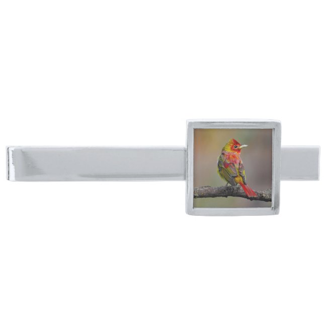 Scarlet Tanager Molting - Original Photograph Silver Finish Tie Bar (Front)