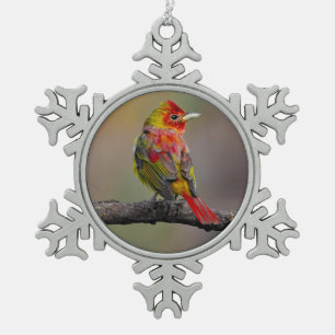 Scarlet Tanager Molting - Original Photograph Snowflake Pewter Christmas Ornament