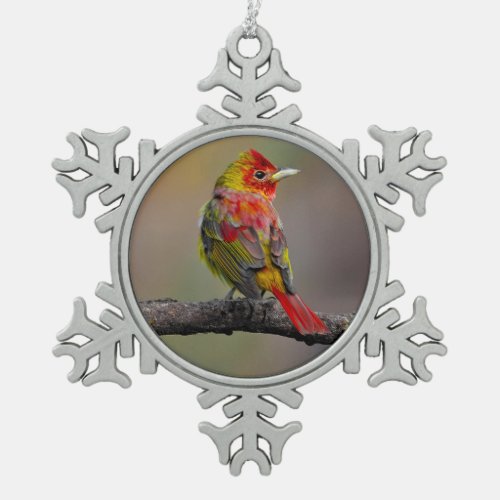 Scarlet Tanager Molting _ Original Photograph Snowflake Pewter Christmas Ornament