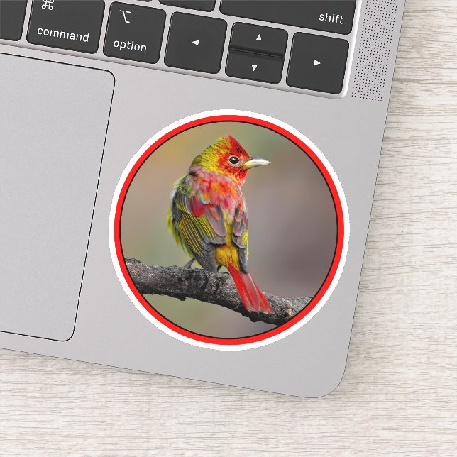 Scarlet Tanager Molting - Original Photograph Sticker (Detail)