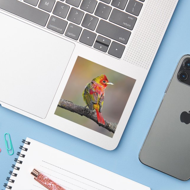 Scarlet Tanager Molting - Original Photograph Sticker (Laptop w/ iPhone)