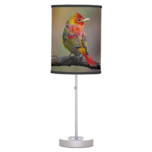 Scarlet Tanager Molting - Original Photograph Table Lamp (Front)