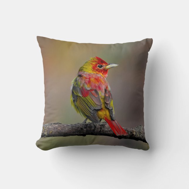 Scarlet Tanager Molting - Original Photograph Throw Pillow (Front)