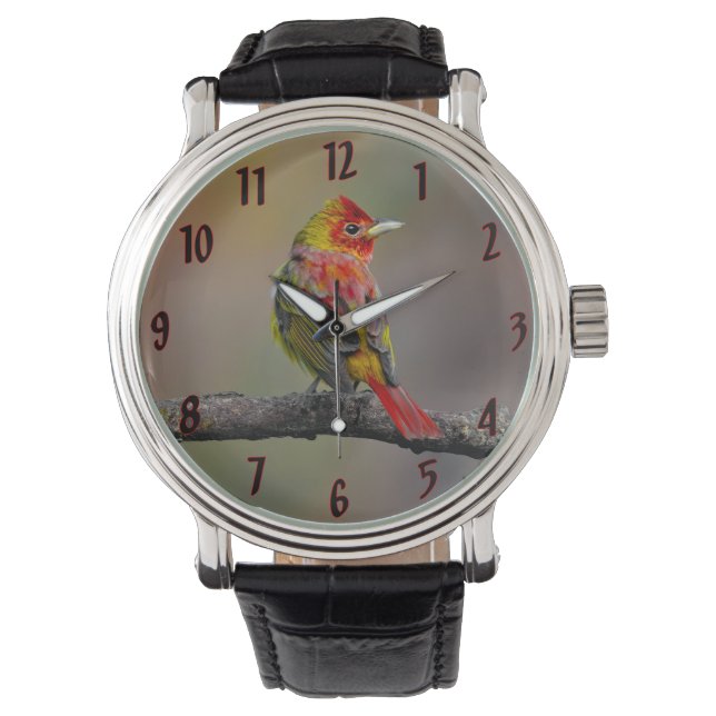 Scarlet Tanager Molting - Original Photograph Watch (Front)