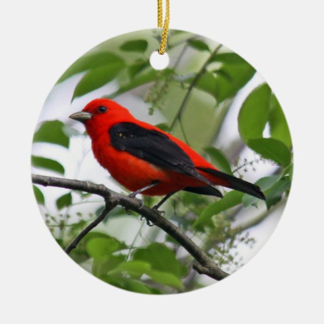 Scarlet Tanager Ornament (Front)