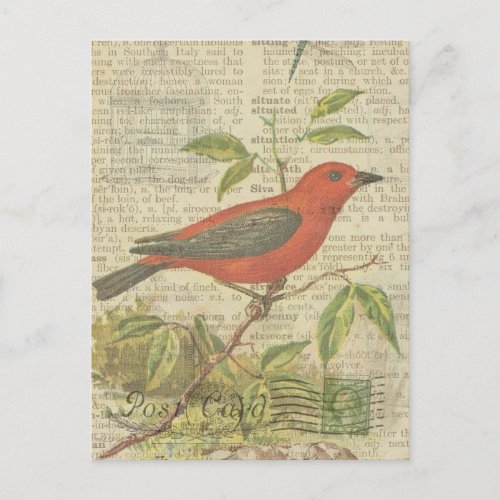 Scarlet Tanager Vintage Bird Birdcage Dragonfly Postcard