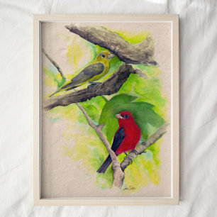 Scarlet Tanagers Birds Watercolor Art Print