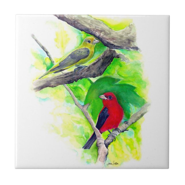 Scarlet Tanagers Birds Watercolor Painting Ceramic Tile (Front)
