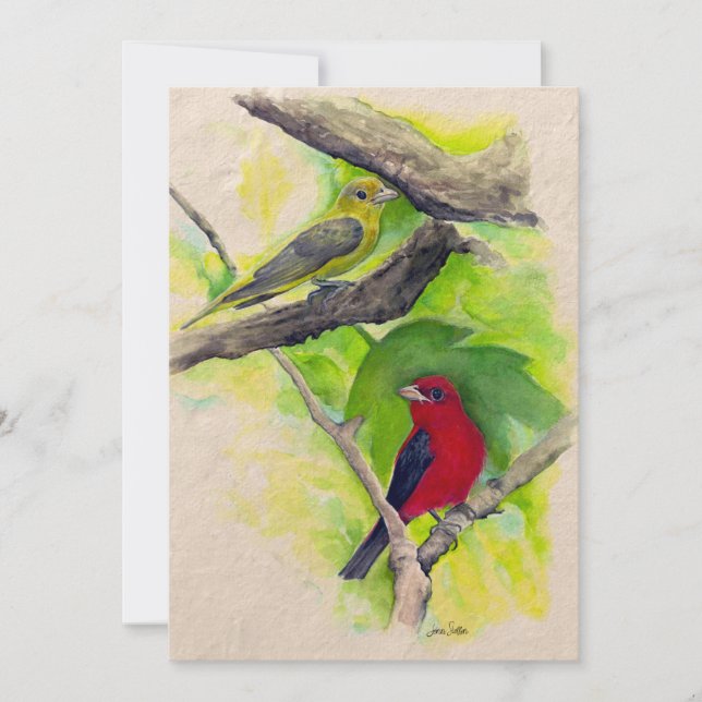 Scarlet Tanagers Birds Watercolor Thank You (Front)