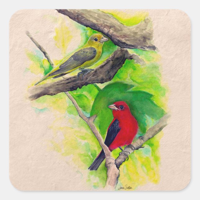 Scarlet Tanagers Painting Square  Square Sticker (Front)