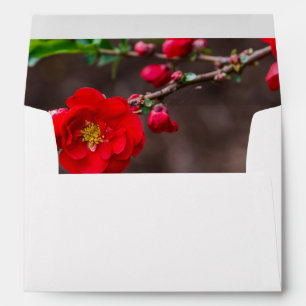 Scarlet Top Wedding Envelope