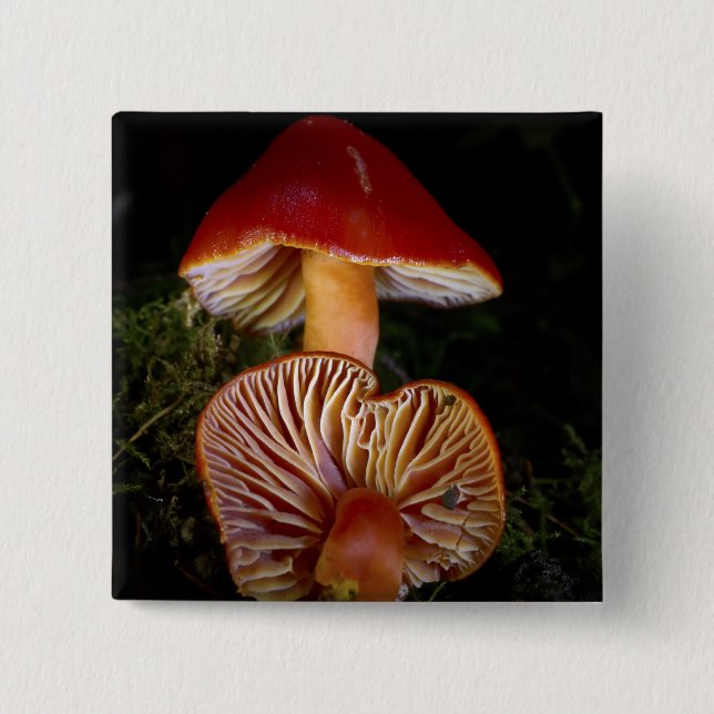 Scarlet Waxcap Mushroom Button (Front)