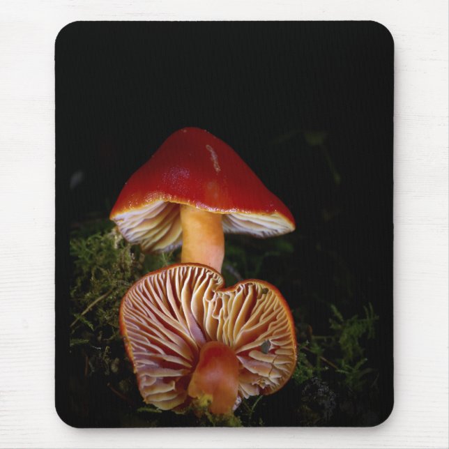 Scarlet Waxcap Mushroom Mouse Pad (Front)