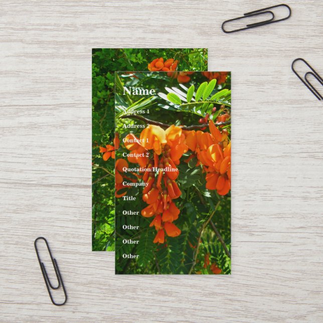 Scarlet Wisteria (Sesbania punicea) Business Card (Front/Back In Situ)